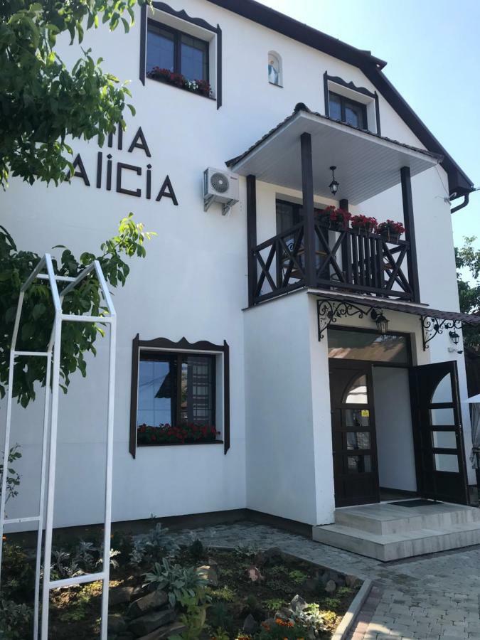 Villa Galicia Berehove  Esterno foto